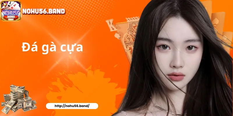 Đá gà cựa